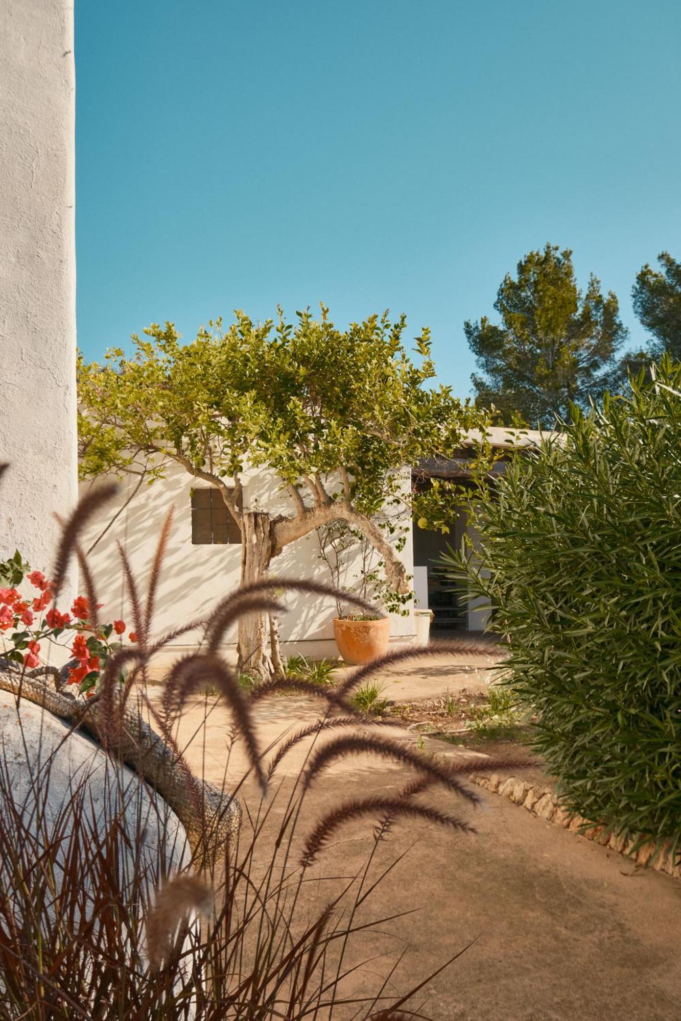 The Guardian House Hotel Santa Gertrudis  Exterior photo